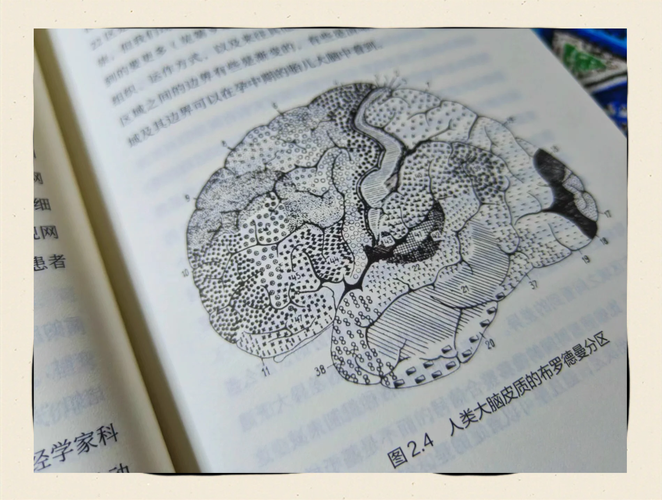 生命本质的多维解构：议论文写作的实用手册