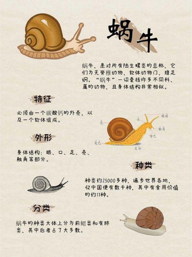 论文蜗牛爬行的背后：科学解构研究与写作脱轨之谜