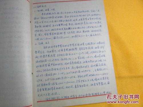 被遗忘的书写：在数字时代重新发现“手写论文”的意义