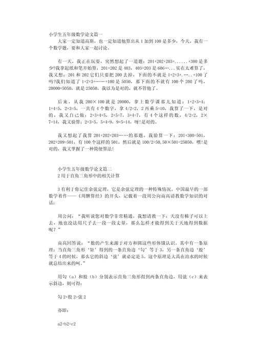 奥数论文怎么写