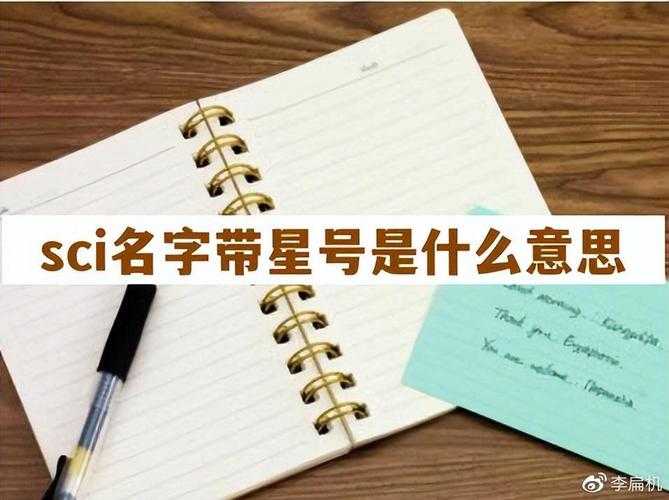 论文里挂星号是什么意思