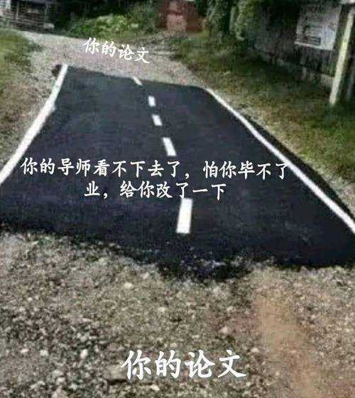 抄论文什么哏