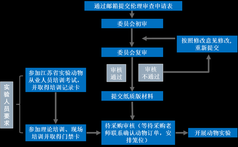医学论文伦理审查：从入门到精通的全流程指南