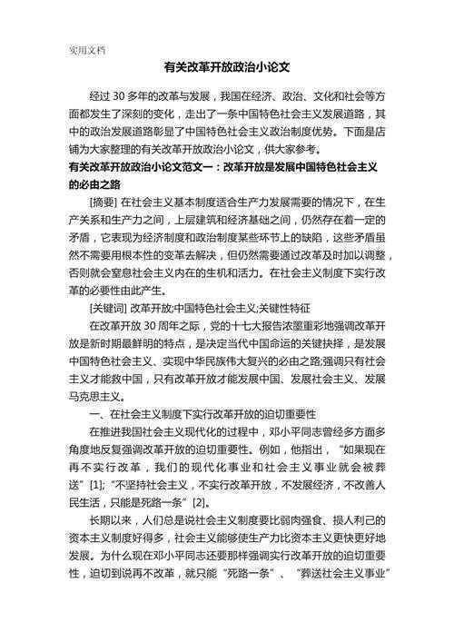 怎么写政治小论文