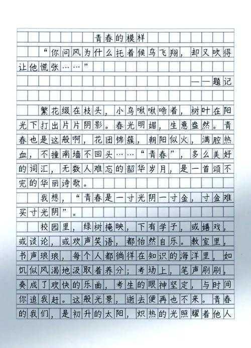 解构青春叙事：关于“什么是少年的模样议论文”的学术探索与写作实践