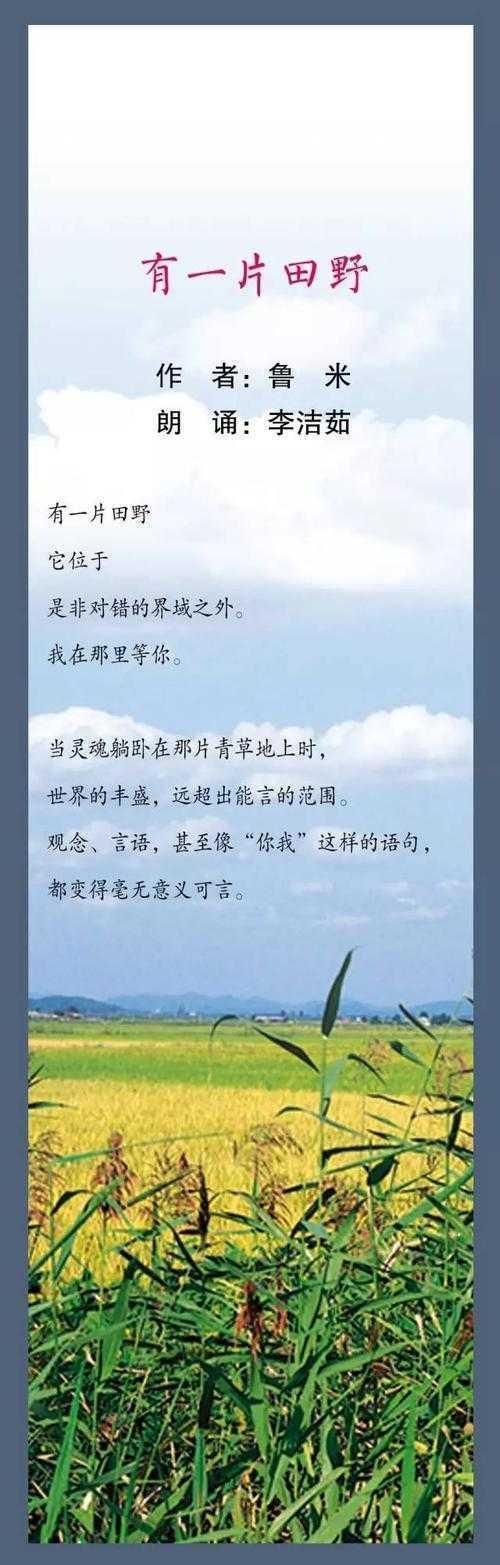 从田野到期刊：我为什么选择新农合作为我的研究课题