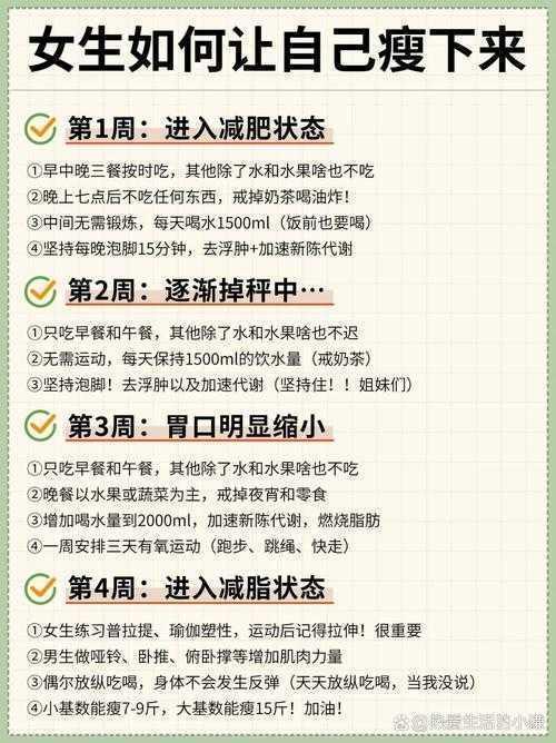 从学术视角解构“减肥是什么”：一篇论文的诞生指南