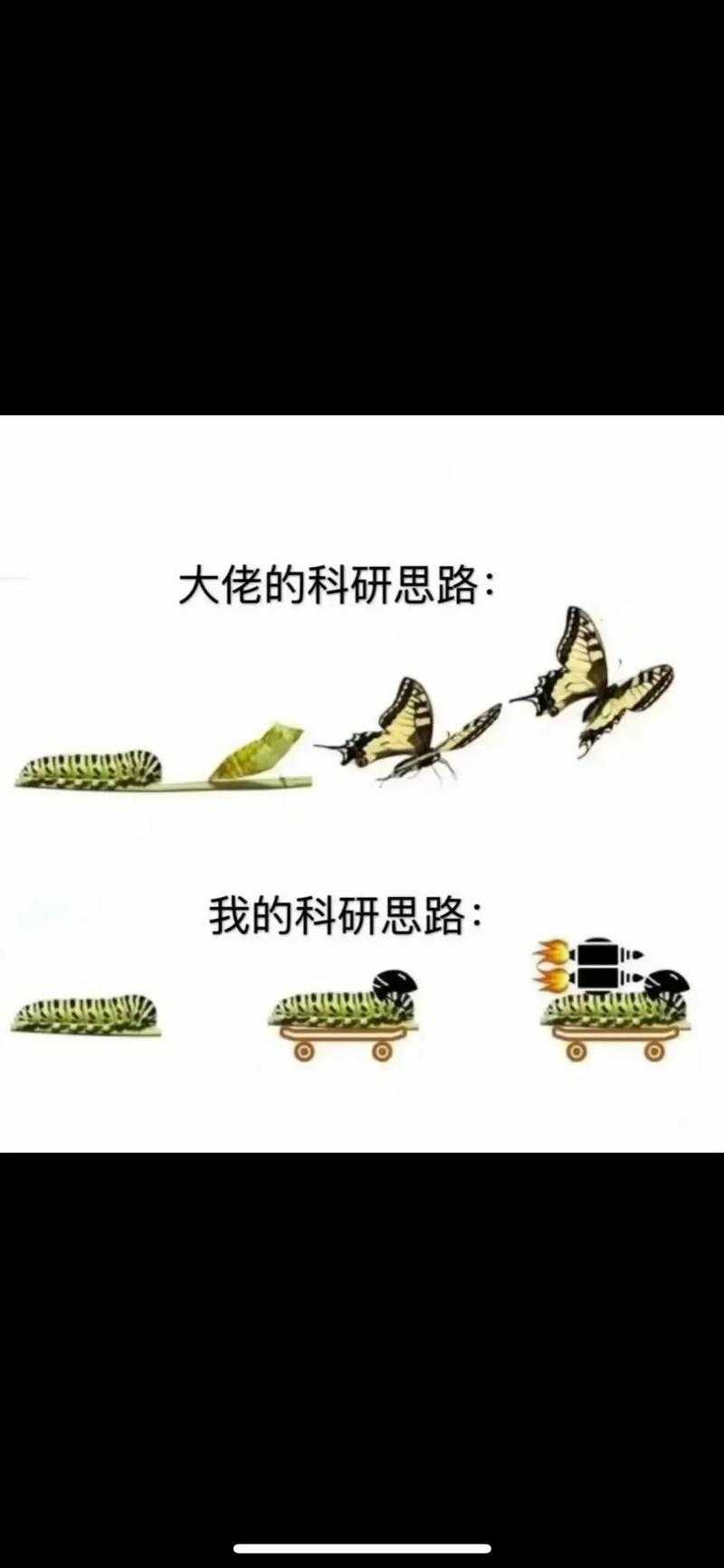 还在为论文发愁？让我们聊聊“什么论文是学术论文”这个根本问题