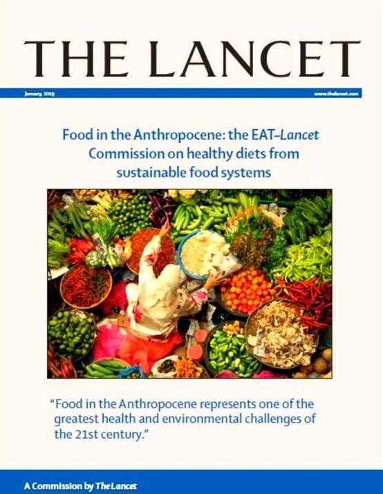 当顶级医学期刊遭遇信任危机:深度解析柳叶刀论文事件