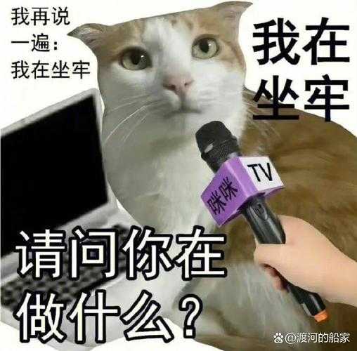 从学术幽默到网络热梗:论文答辩中的“段子”现象研究