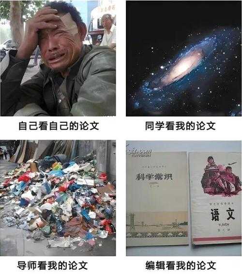 从学术幽默到网络热梗:论文答辩中的“段子”现象研究