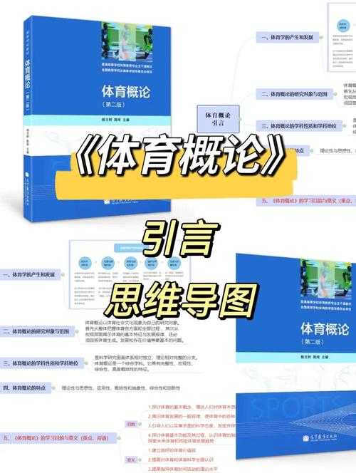 体育教育价值的多维透视:从学术研究到议论文写作的实践指南