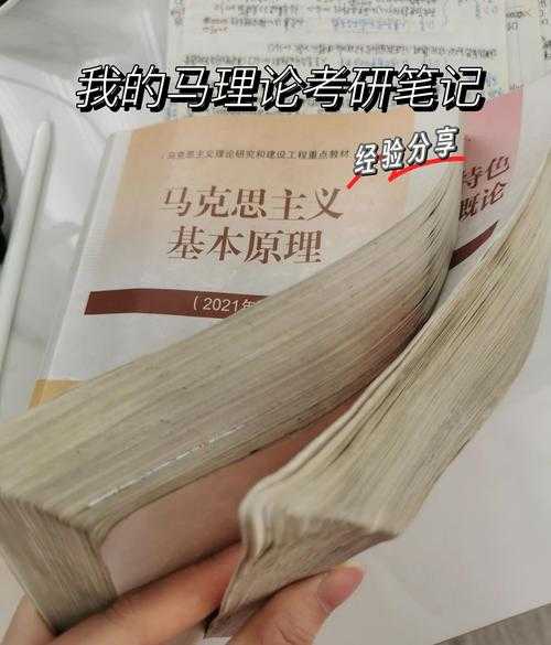 从选题到发表:资深学者带你解锁“马理论怎么发论文”的实战密码