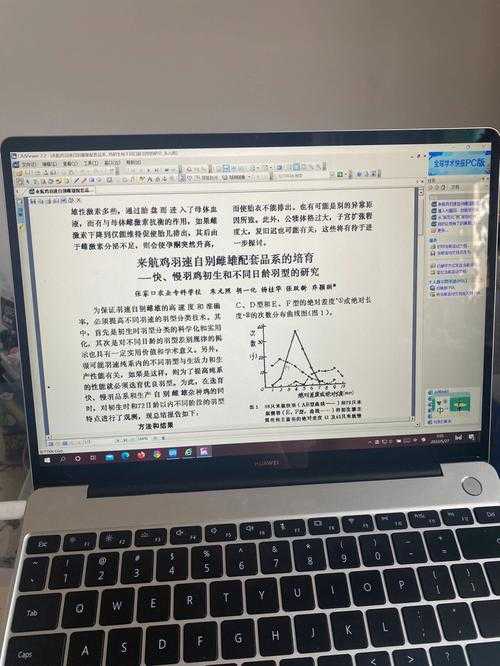 当我们在讨论“小鸡论文”时，我们到底在讨论什么？一项关于网络学术亚文化的探索