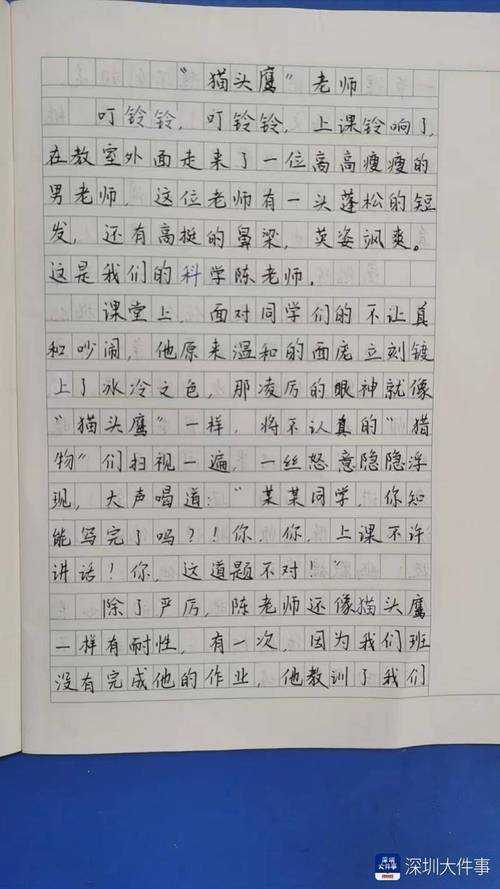 论文偶记是什么：一位学术写作老兵的深度解析