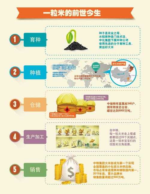 从田间到餐桌:粮食价值提升的多维路径研究