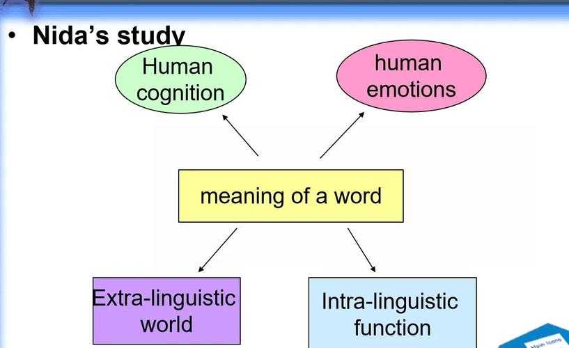 会计英语议论文的跨学科解码:从语言表达到专业论证的路径探索
