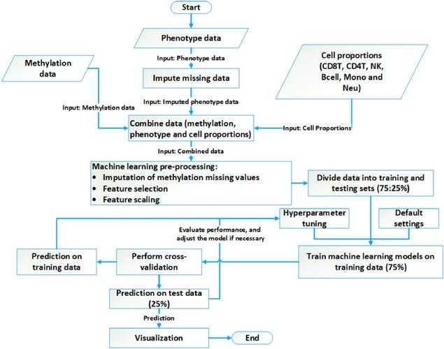 英国论文要写什么?从开题到答辩的全流程拆解