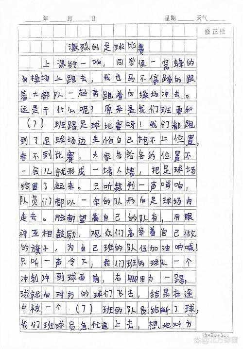 什么是体育的议论文作文