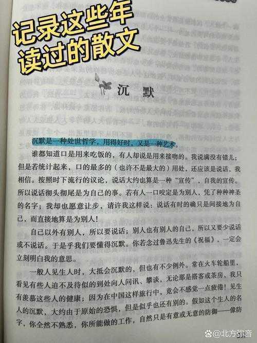 什么时候该沉默议论文