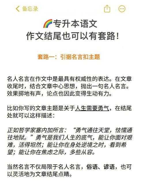 从零到一：专升本议论文该怎么写？资深学术人教你拆解高分套路