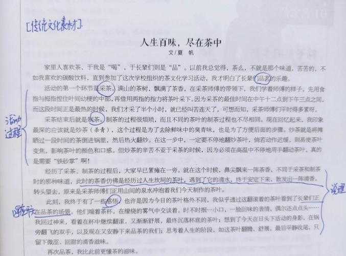 从味觉体验到文化解码：构建专业茶评文章的写作方法论