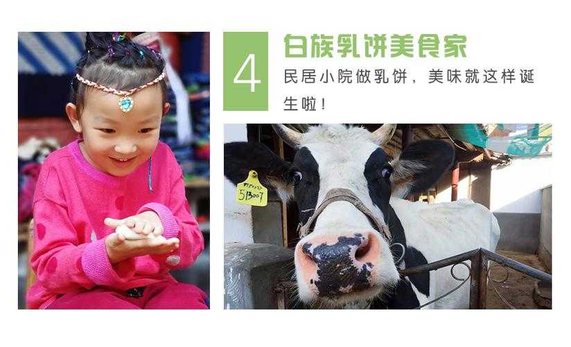 从田野到实验室：云南乳饼加工论文怎么写才能既有民族特色又有科学价值？