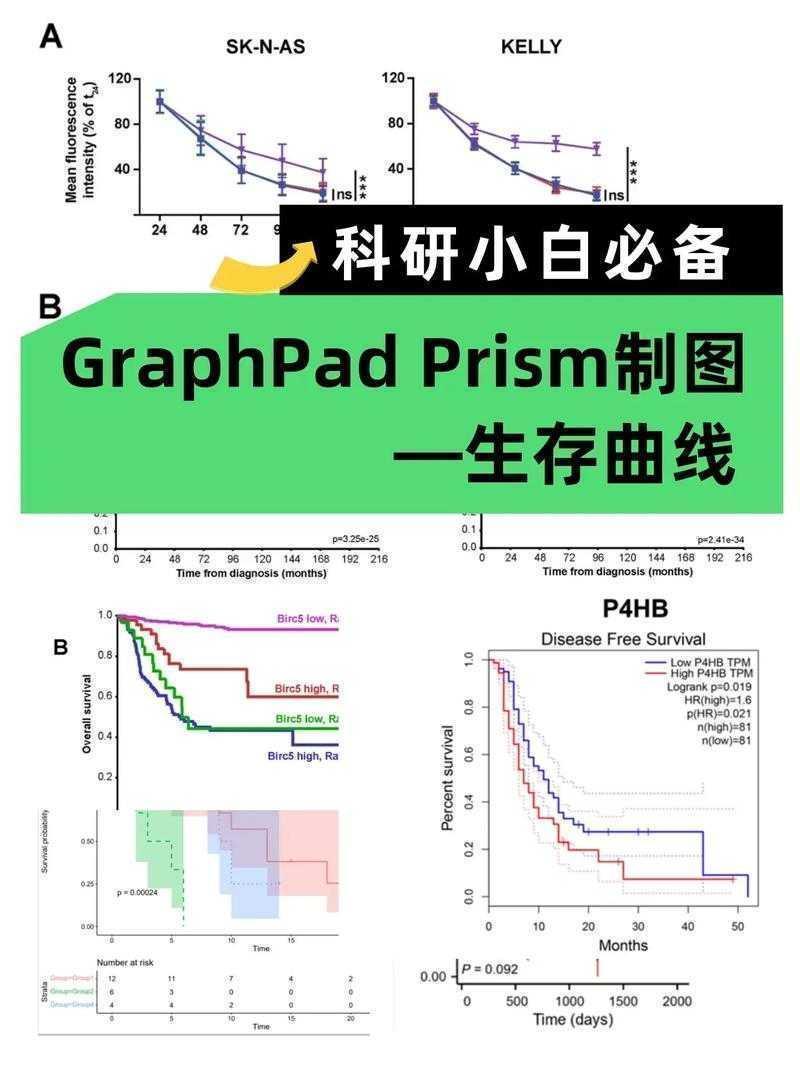 从零开始掌握学术绘图：科研小白的可视化生存指南