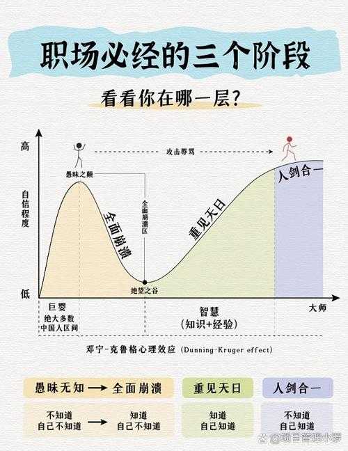 从技能培训到职场突围：破解就业率提升的实证路径