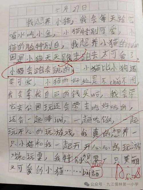 从零到一：宠物和孩子论文怎么写才能既有温度又有深度？