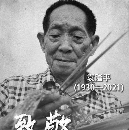 从零到一：袁隆平的议论文怎么写才能既有深度又打动人心？