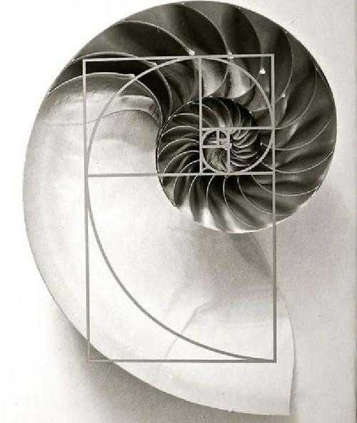 从拆解到建构：议论文分论点设计的黄金法则