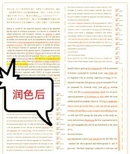 揭秘行业真相：论文润色怎么收费的？这些隐藏规则导师绝不会告诉你