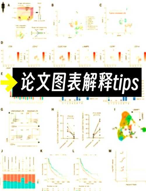 从理论到数据：论文怎么验证XY关系的完整指南