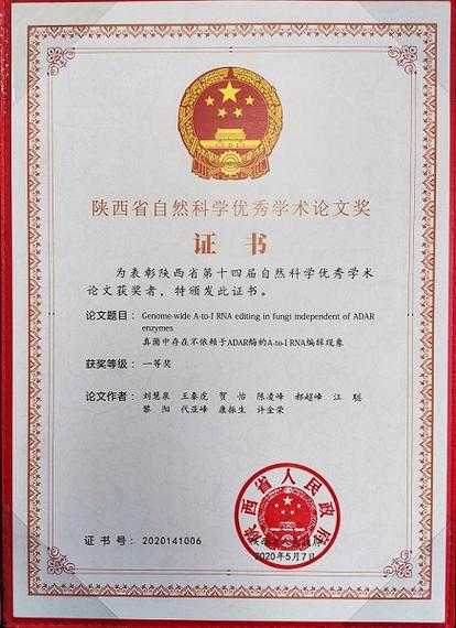 从实验室到期刊:枝芽的发育论文怎么写才能让编辑眼前一亮?