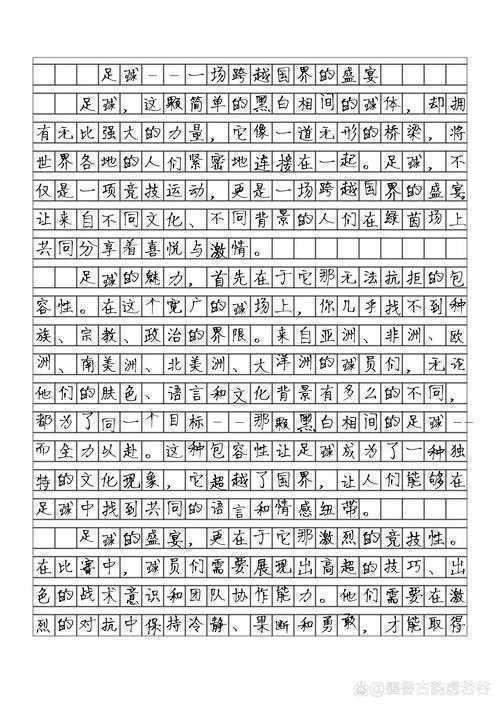 从草根到职业:专业足球场建设中的空间叙事与功能优化