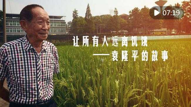 袁隆平论文如何影响中国农业科研范式?从高产杂交稻看学术研究的实践价值