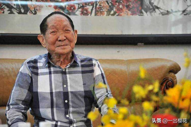 袁隆平论文如何影响中国农业科研范式?从高产杂交稻看学术研究的实践价值