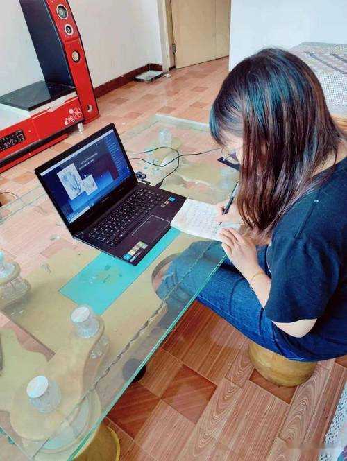 当讲台搬到云端:师范生抗疫教学实践的行动研究