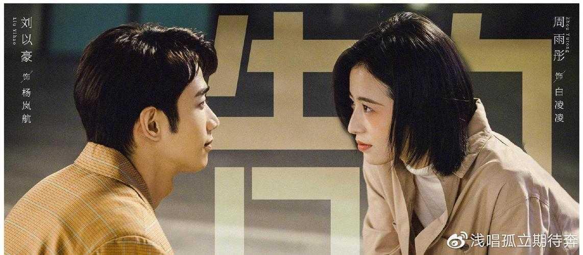 当学术遇上爱情:博士情侣如何高效合作完成高质量论文