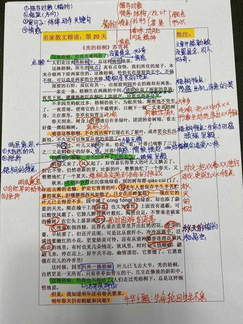 从手忙脚乱到游刃有余：怎么增加论文的批注才能让导师眼前一亮？