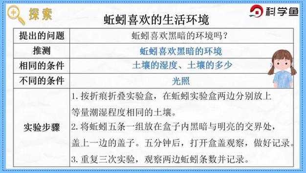 实验室必备技能:解剖蚯蚓论文怎么写才能让导师眼前一亮?