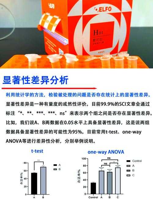 从统计显著性到实际意义:如何让你的效应量解释不再苍白