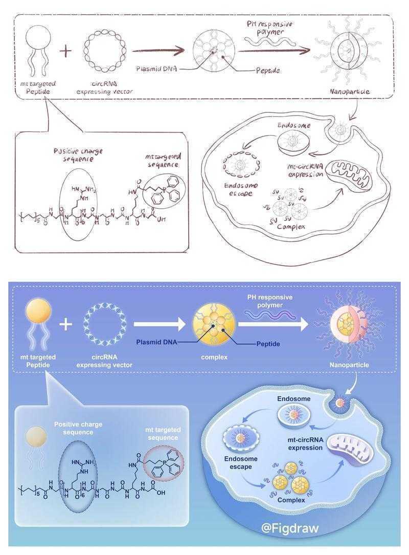 科研绘图实战指南:如何让论文插图成为你的加分项