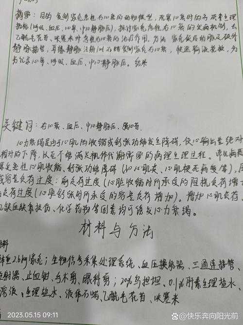 论文作业姓名怎么写?这个细节可能让你丢分!