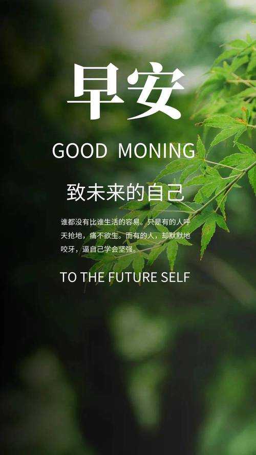 从零到精通:绿色议论文怎么写才能既有深度又打动人心?