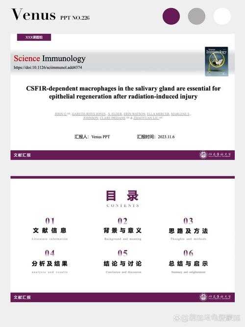 从零开始:WPS论文排版全攻略(附导师看了都点赞的模板)