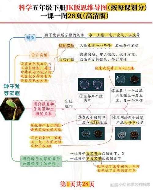 从认知科学到实战技巧:解锁高效背诵语文课文的科学路径