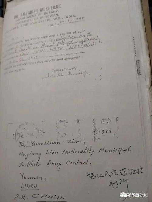 从学术垃圾到国际通行证:论文翻译的生存法则