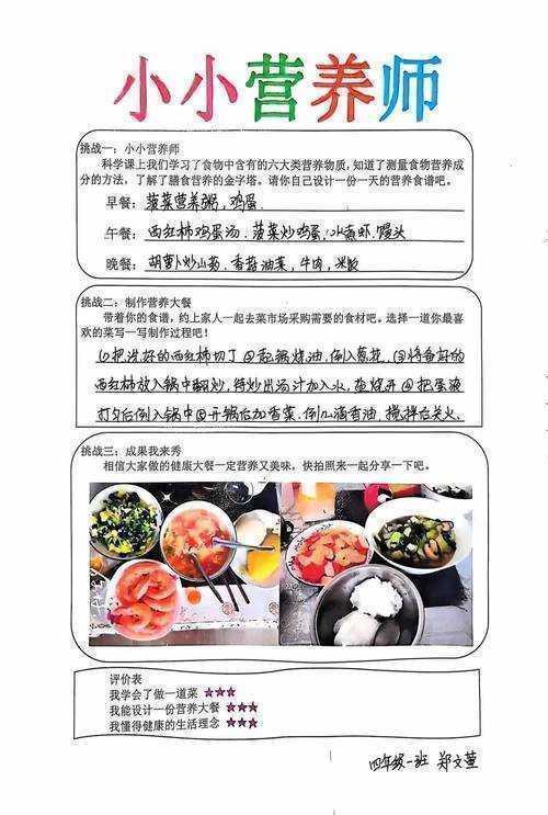 从实验室到餐桌:肉丸工艺研究的学术写作全攻略